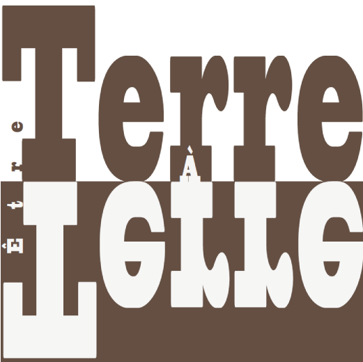 Expression française "Être terre à terre" faite uniquement de police d'écriture et d'un jeu de couleur