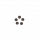 favicon du site illustrant une fleur de sakura de couleur blanche