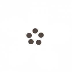 favicon du site illustrant une fleur de sakura de couleur blanche